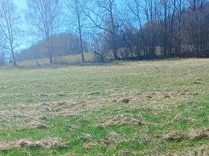 Prodej pozemku pro bydlení, Heřmanov - Fojtovice, 1819 m2