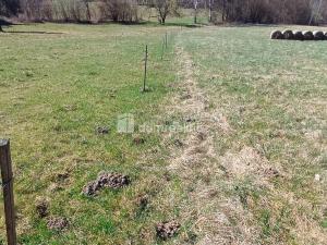 Prodej pozemku pro bydlení, Heřmanov - Fojtovice, 1246 m2