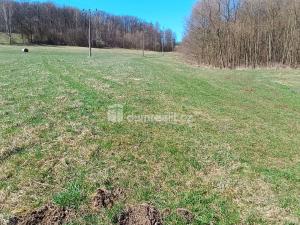 Prodej pozemku pro bydlení, Heřmanov - Fojtovice, 1246 m2