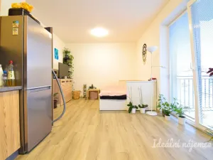 Pronájem bytu 1+kk, Brno, Svitavská, 33 m2