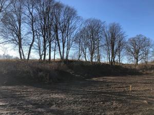 Prodej komerčního pozemku, Děpoltovice, 2280 m2