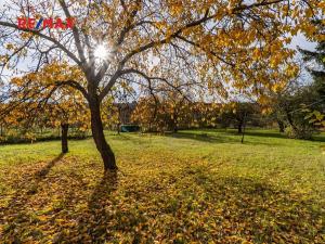 Prodej rodinného domu, Bořanovice, Hlavní, 177 m2