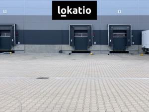 Pronájem skladu, Praha - Horní Počernice, F.V.Veselého, 4766 m2