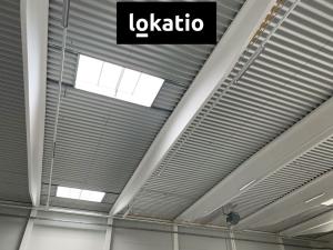 Pronájem skladu, Praha - Horní Počernice, F.V.Veselého, 4766 m2