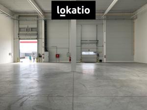 Pronájem skladu, Praha - Horní Počernice, F.V.Veselého, 4766 m2