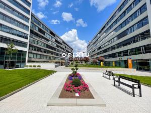 Pronájem kanceláře, Brno - Staré Brno, Nové sady, 50 m2