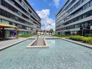 Pronájem kanceláře, Brno - Staré Brno, Nové sady, 50 m2