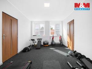 Prodej atypického bytu, Březová, Smetanova, 177 m2