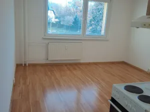 Pronájem bytu 1+kk, Hrádek nad Nisou, Pod tratí, 28 m2