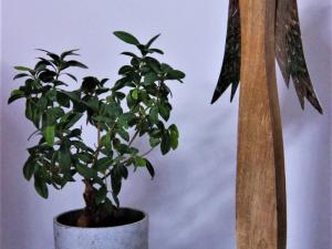 Prodej rodinného domu, Libošovice - Rytířova Lhota, 100 m2