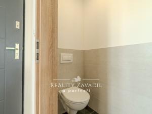 Pronájem bytu 3+kk, Ostrava - Slezská Ostrava, Šenovská, 74 m2