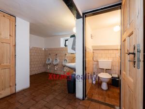 Prodej rodinného domu, Mařenice - Dolní Světlá, 424 m2