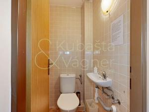 Prodej chalupy, Vysočina, 333 m2