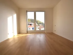 Pronájem bytu 1+kk, Praha - Lysolaje, Lysolajské údolí, 30 m2
