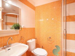 Prodej vícegeneračního domu, Benešov nad Černou, 295 m2