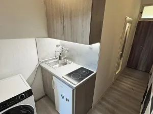 Pronájem bytu 1+kk, Brno, Plotní, 32 m2