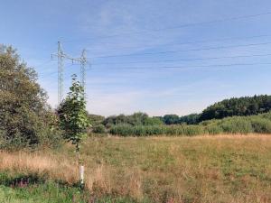 Prodej pole, Vodňany - Újezd, 8684 m2