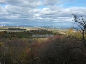 Prodej zahrady, Židlochovice, 2384 m2