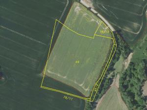 Prodej pole, Zvěstov, 51947 m2