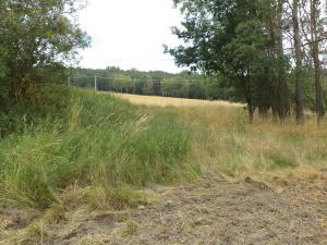 Prodej zahrady, Heřmanova Huť - Vlkýš, 1100 m2