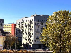 Pronájem bytu 2+kk, Liberec - Liberec III-Jeřáb, U Nisy, 59 m2