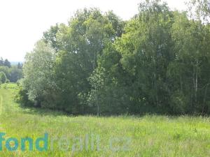Prodej pozemku, Pluhův Žďár - Červená Lhota, 2746 m2