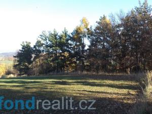 Prodej pole, Prostějovičky, 4403 m2