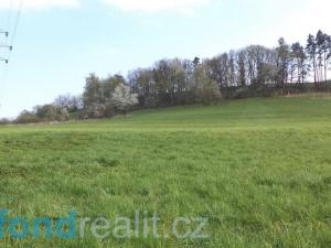 Prodej pozemku, Brumovice, 15626 m2