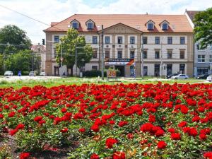 Pronájem obchodního prostoru, České Budějovice - České Budějovice 3, Pražská tř., 277 m2