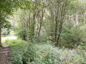 Prodej pozemku, Aš, 1755 m2