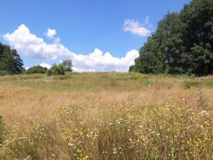 Prodej pozemku, Stráž, 15644 m2