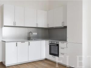 Pronájem bytu 1+kk, Praha - Žižkov, Milíčova, 29 m2