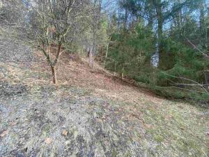 Prodej pozemku, Rokytnice v Orlických horách, 858 m2