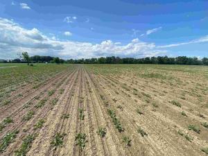 Prodej pozemku, Dolní Životice, 1696 m2