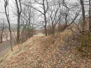 Prodej pozemku, Třebenice - Medvědice, 4154 m2