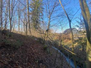 Prodej pozemku, Nová Bystřice, 3407 m2