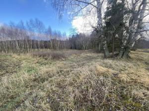 Prodej pozemku, Kaplice - Pořešín, 11526 m2