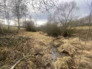 Prodej pozemku, Dolní Dvořiště - Trojany, 18915 m2