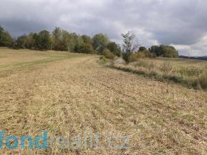 Prodej pole, Tachov, 55727 m2