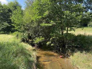 Prodej pole, Lhenice - Hrbov, 55481 m2