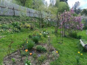 Prodej zahrady, Žlutice, Smetanova, 569 m2