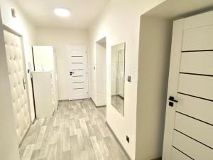 Pronájem bytu 2+1, Opava - Předměstí, Krnovská, 54 m2