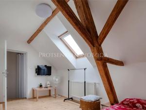 Prodej apartmánu, Pardubice, Žižkova, 250 m2