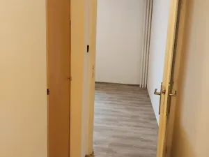 Pronájem bytu 2+kk, Kozojedy, 46 m2