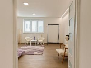 Pronájem bytu 1+1, Opava - Předměstí, Hobzíkova, 40 m2