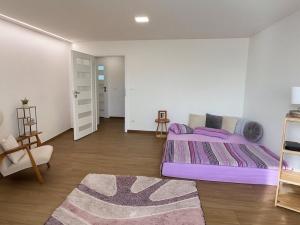 Pronájem bytu 1+1, Opava - Předměstí, Hobzíkova, 40 m2