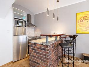 Pronájem bytu 1+kk, Praha - Žižkov, Rokycanova, 41 m2