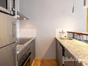 Pronájem bytu 1+kk, Praha - Žižkov, Rokycanova, 41 m2