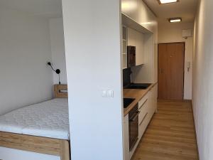 Pronájem bytu 1+kk, Jičín - Valdické Předměstí, Sv. Čecha, 30 m2