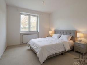 Prodej rodinného domu, Chvalovice, 213 m2